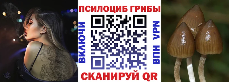 Псилоцибиновые грибы GOLDEN TEACHER  Приволжск 